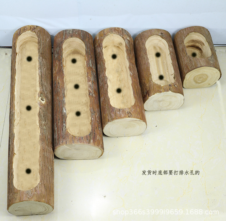 原木花盆 让你的多肉呈现「树桩上的复古小桃源「的效果描述